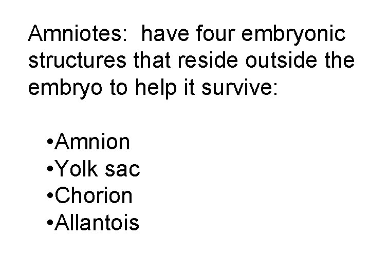 Amniotes: have four embryonic structures that reside outside the embryo to help it survive: