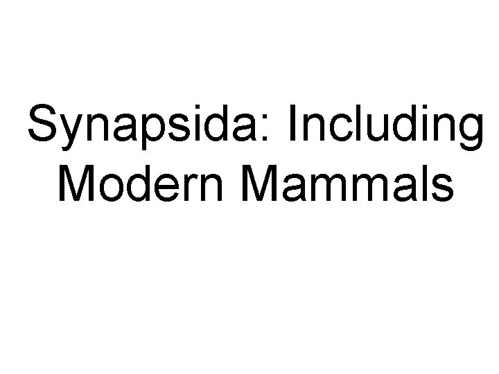 Synapsida: Including Modern Mammals 