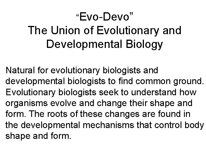 “Evo-Devo” The Union of Evolutionary and Developmental Biology Natural for evolutionary biologists and developmental