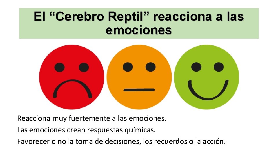 El “Cerebro Reptil” reacciona a las emociones Reacciona muy fuertemente a las emociones. Las
