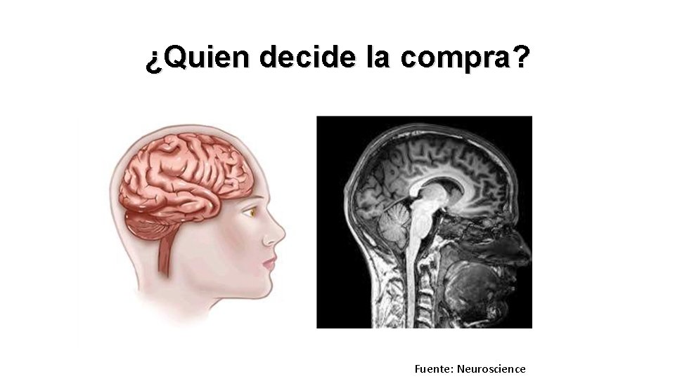 ¿Quien decide la compra? Fuente: Neuroscience 