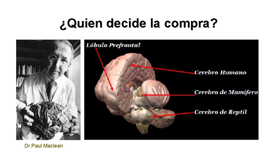 ¿Quien decide la compra? Dr. Paul Maclean 