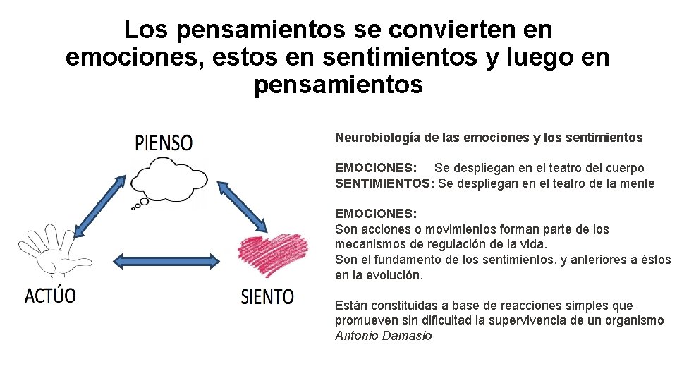 Los pensamientos se convierten en emociones, estos en sentimientos y luego en pensamientos Neurobiología