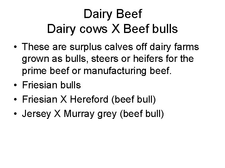 Dairy Beef Dairy cows X Beef bulls • These are surplus calves off dairy