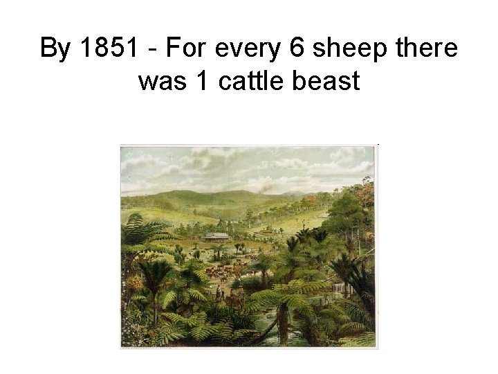 By 1851 - For every 6 sheep there was 1 cattle beast 