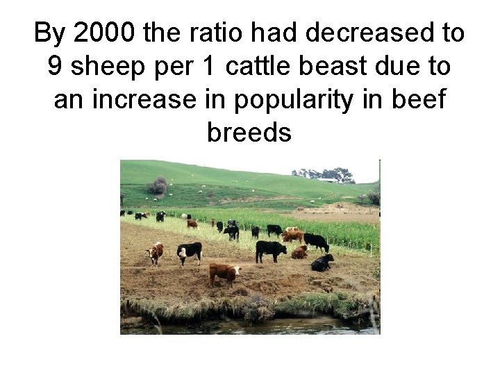 By 2000 the ratio had decreased to 9 sheep per 1 cattle beast due