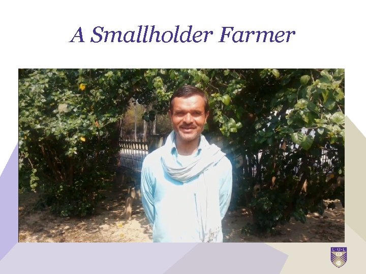 A Smallholder Farmer 