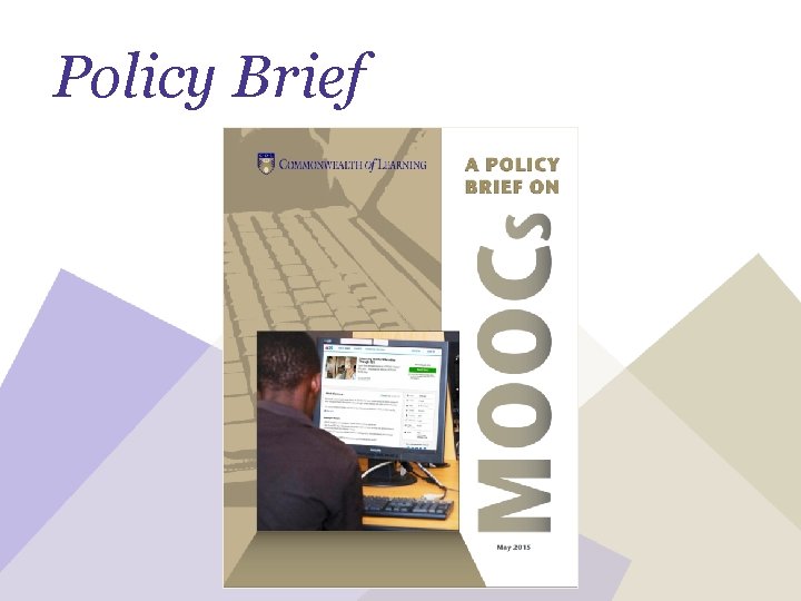 Policy Brief 