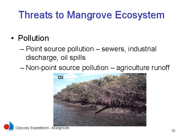 Threats to Mangrove Ecosystem • Pollution – Point source pollution – sewers, industrial discharge,