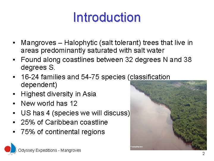 Introduction • Mangroves – Halophytic (salt tolerant) trees that live in areas predominantly saturated