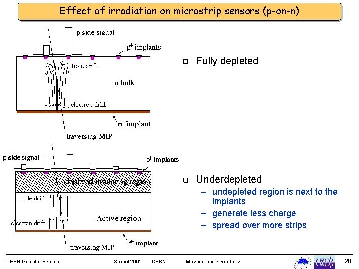 Effect of irradiation on microstrip sensors (p-on-n) q Fully depleted q Underdepleted – undepleted
