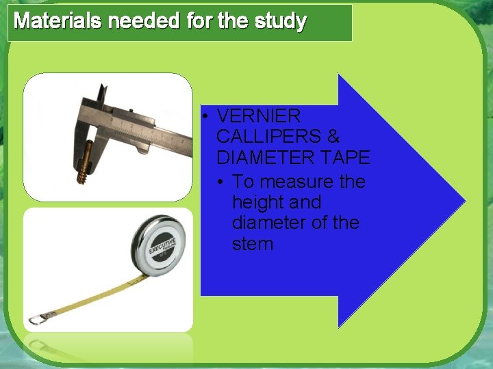 Materials needed for the study • VERNIER CALLIPERS & DIAMETER TAPE • To measure