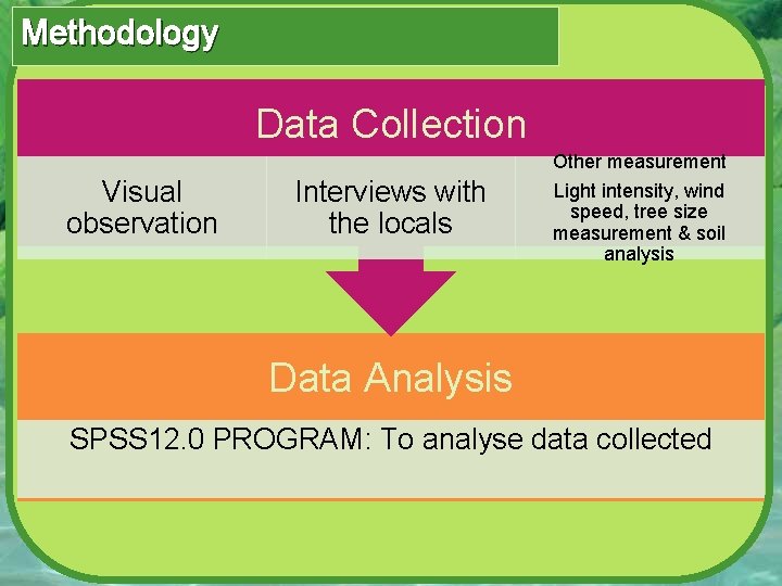 Methodology Data Collection Other measurement Visual observation Interviews with the locals Light intensity, wind