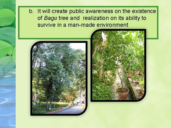 b. It will create public awareness on the existence of Bagu tree and realization