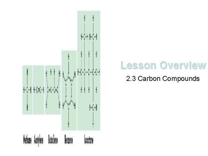 Lesson Overview 2. 3 Carbon Compounds 