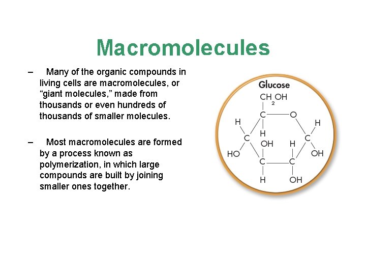 Macromolecules – Many of the organic compounds in living cells are macromolecules, or “giant
