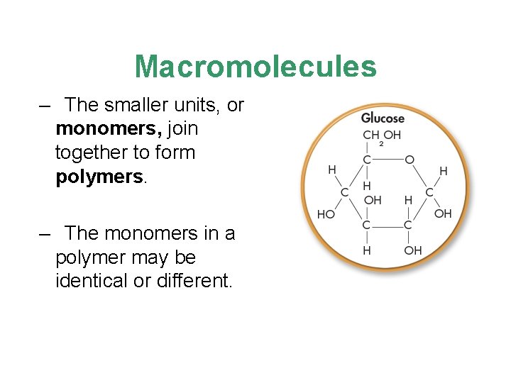 Macromolecules – The smaller units, or monomers, join together to form polymers. – The