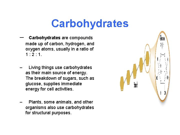 Carbohydrates – Carbohydrates are compounds made up of carbon, hydrogen, and oxygen atoms, usually