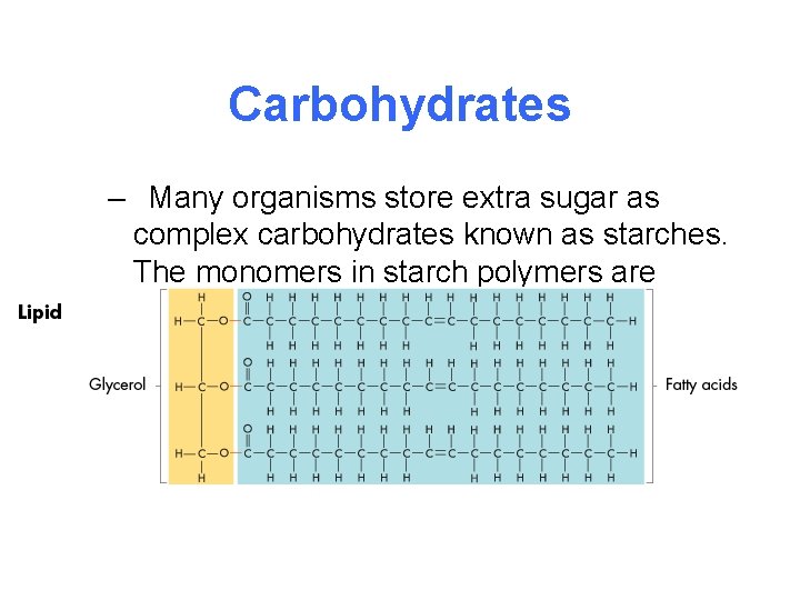 Carbohydrates – Many organisms store extra sugar as complex carbohydrates known as starches. The