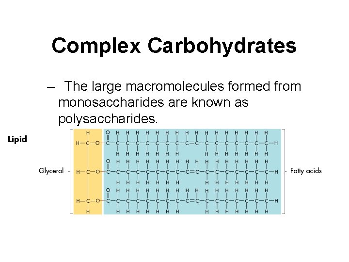 Complex Carbohydrates – The large macromolecules formed from monosaccharides are known as polysaccharides. 