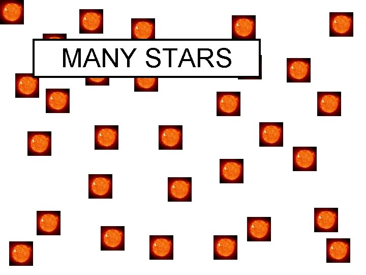 MANY STARS 