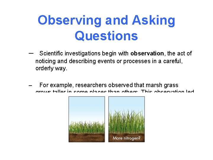 Observing and Asking Questions – Scientific investigations begin with observation, the act of noticing