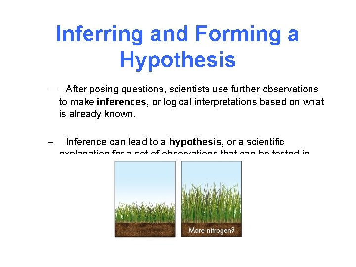 Inferring and Forming a Hypothesis – After posing questions, scientists use further observations to