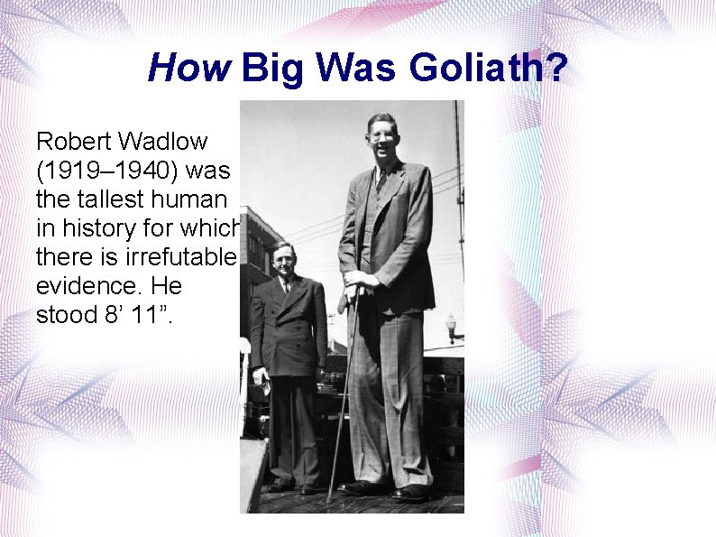 How Big Was Goliath? Robert Wadlow (1919– 1940) was the tallest human in history