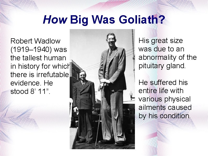 How Big Was Goliath? Robert Wadlow (1919– 1940) was the tallest human in history