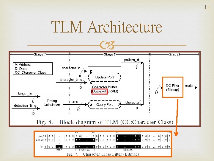 11 TLM Architecture 