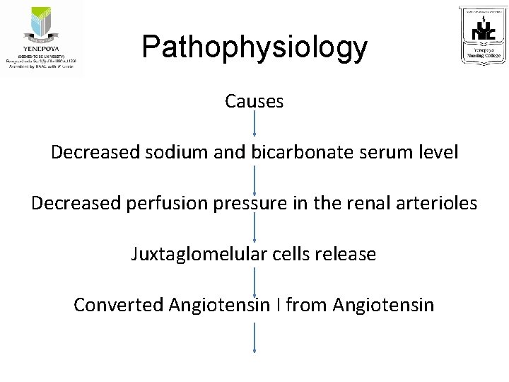 Pathophysiology Causes Decreased sodium and bicarbonate serum level Decreased perfusion pressure in the renal