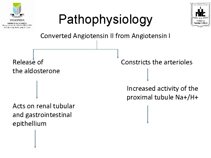 Pathophysiology Converted Angiotensin II from Angiotensin I Release of Constricts the arterioles the aldosterone