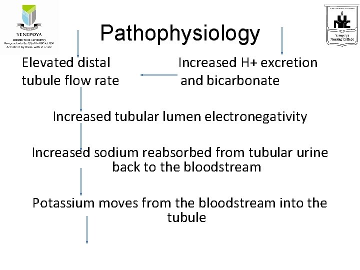 Pathophysiology Elevated distal Increased H+ excretion tubule flow rate and bicarbonate Increased tubular lumen