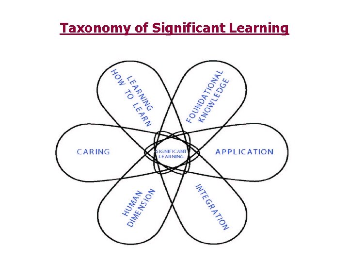 Taxonomy of Significant Learning 