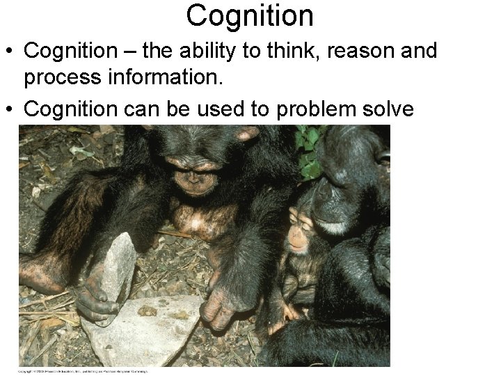 Cognition • Cognition – the ability to think, reason and process information. • Cognition