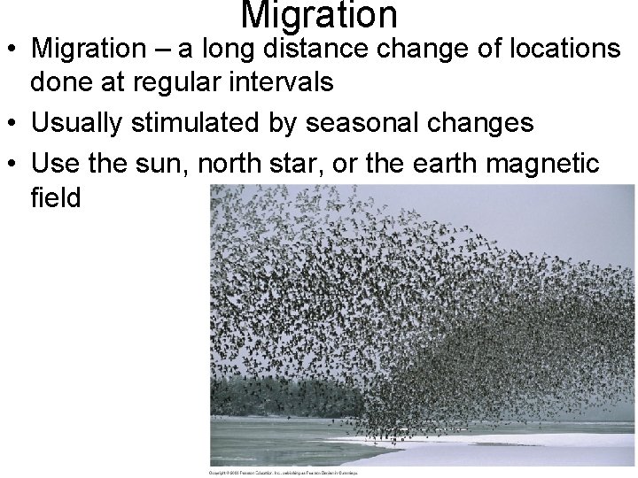 Migration • Migration – a long distance change of locations done at regular intervals