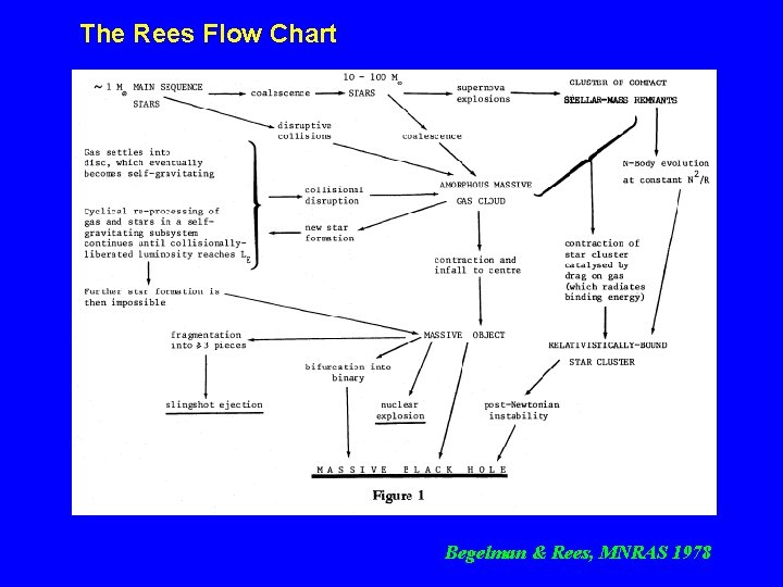 The Rees Flow Chart Begelman & Rees, MNRAS 1978 