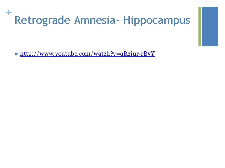 + Retrograde Amnesia- Hippocampus n http: //www. youtube. com/watch? v=q. Rzjur-r. Bv. Y 