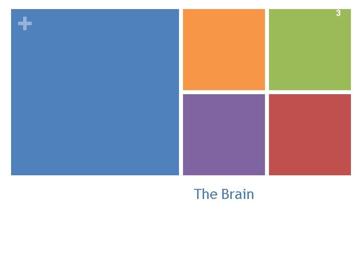 Slide 3 + The Brain 