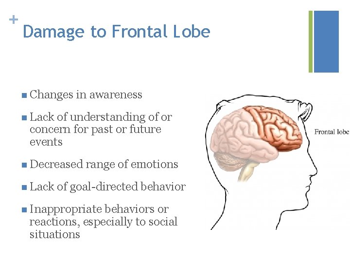 + Damage to Frontal Lobe n Changes in awareness n Lack of understanding of