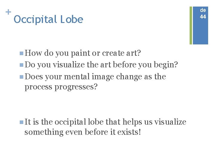 + Occipital Lobe n How do you paint or create art? n Do you