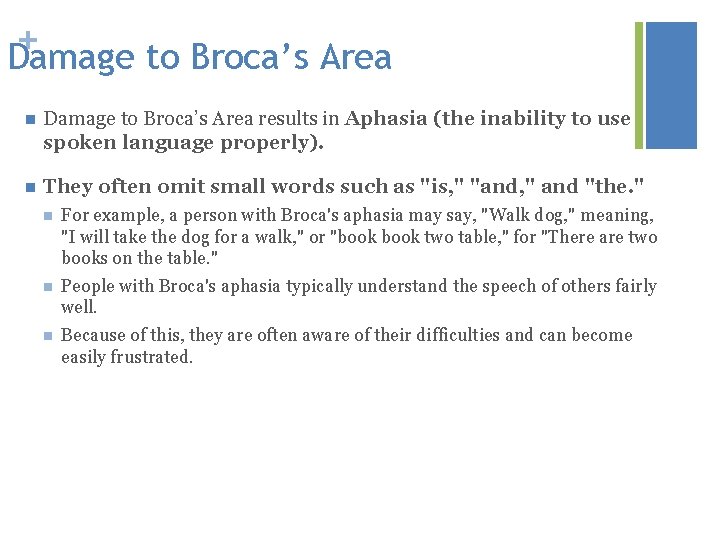 + Damage to Broca’s Area n Damage to Broca’s Area results in Aphasia (the