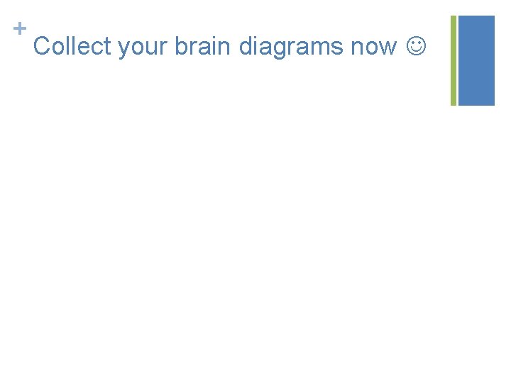 + Collect your brain diagrams now 