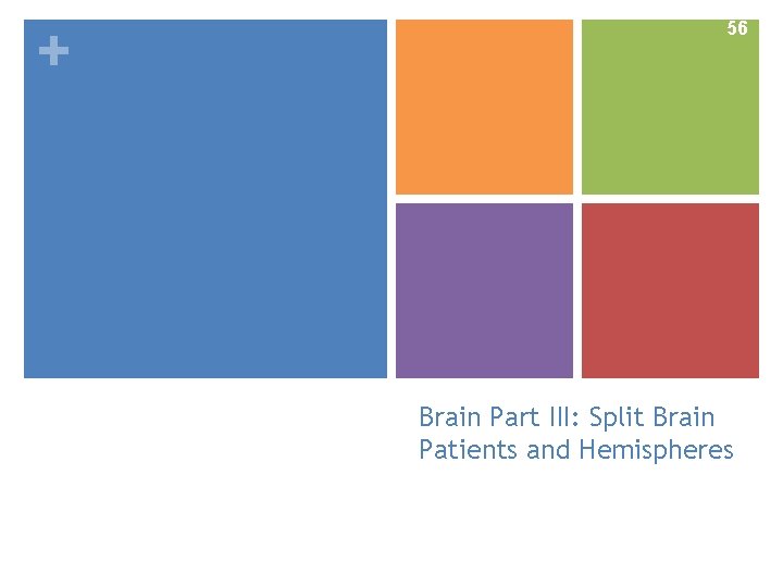 + Slide 56 Brain Part III: Split Brain Patients and Hemispheres 