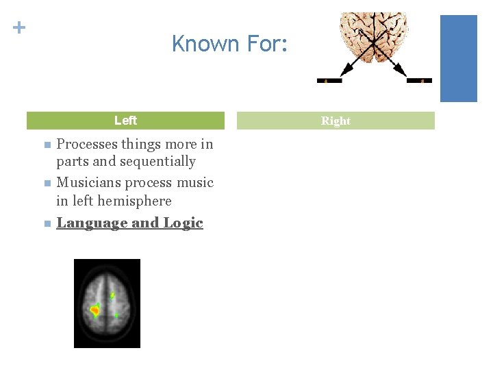 + Known For: Left Processes things more in parts and sequentially n Musicians process