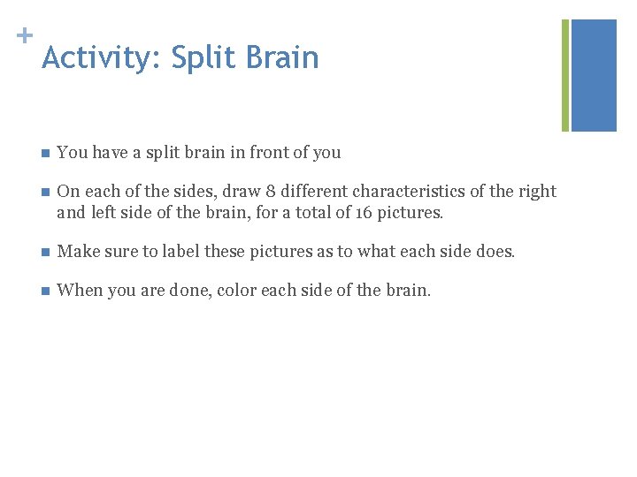 + Activity: Split Brain n You have a split brain in front of you
