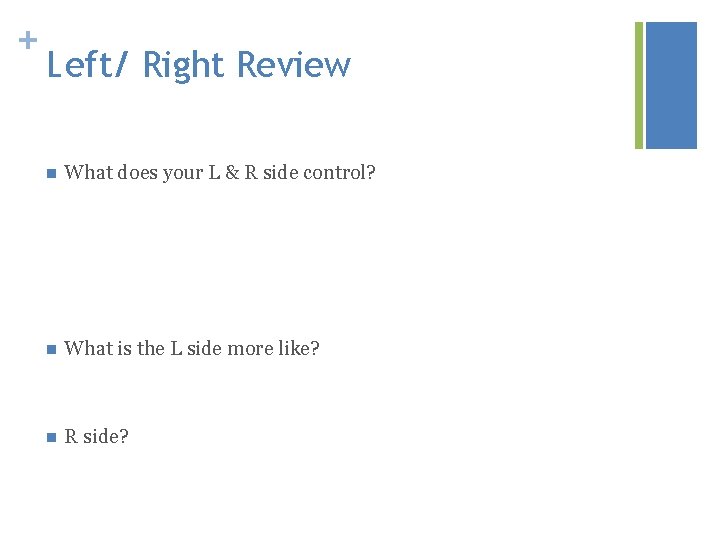 + Left/ Right Review n What does your L & R side control? n