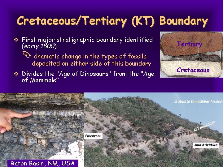 Cretaceous/Tertiary (KT) Boundary v First major stratigraphic boundary identified (early 1800) Tertiary dramatic change