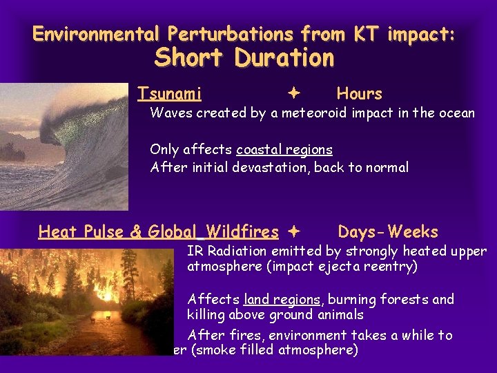 Environmental Perturbations from KT impact: Short Duration Tsunami Hours Waves created by a meteoroid