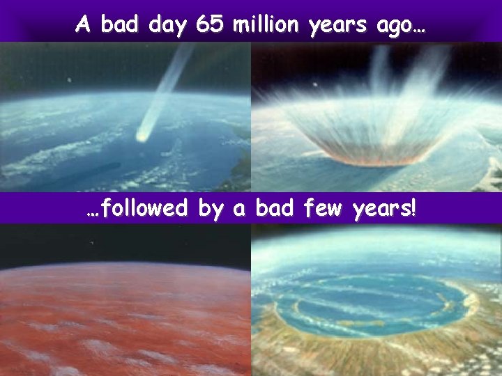 A bad day 65 million years ago… …followed by a bad few years! 